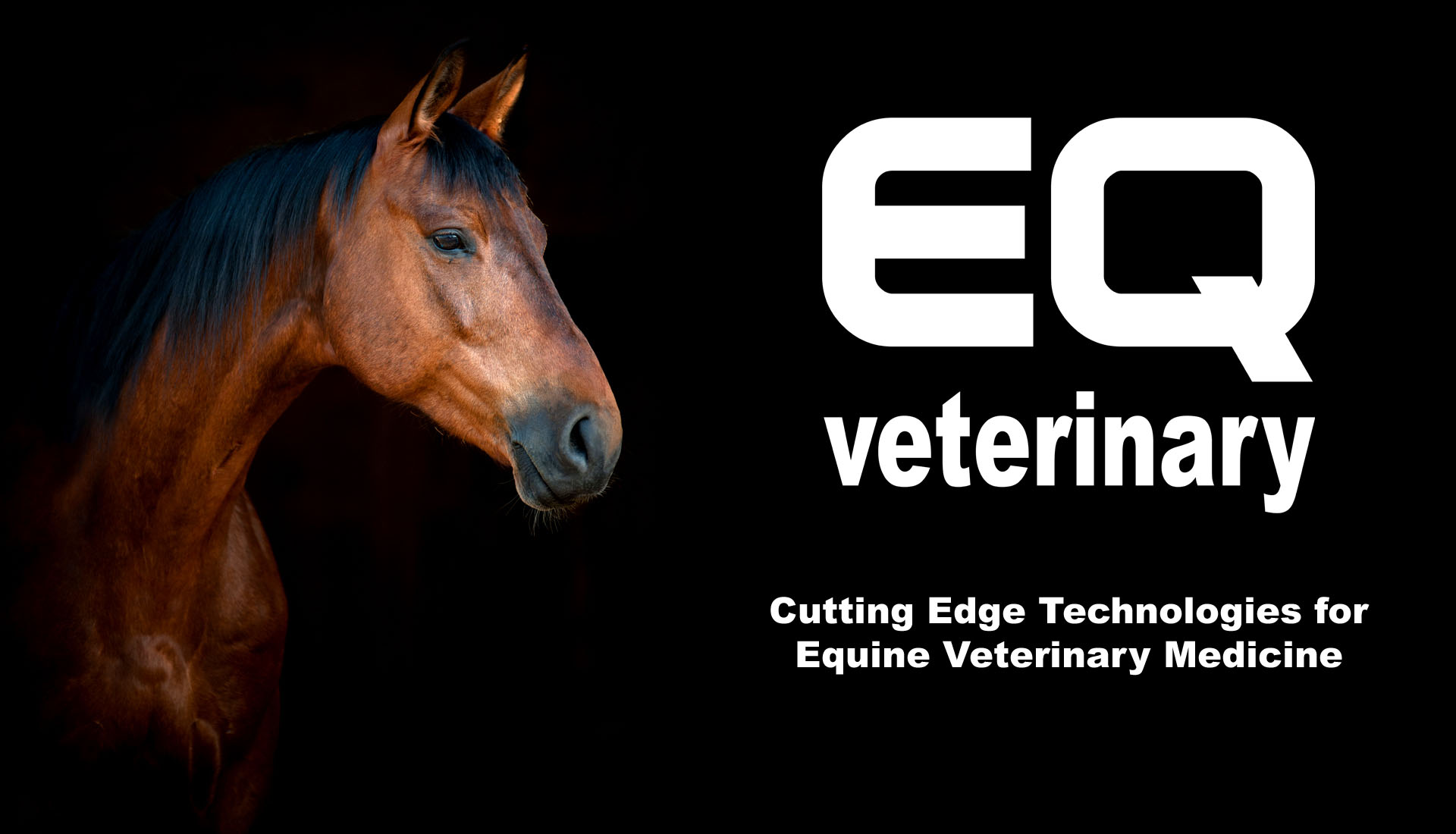 EQ veterinary slide 1