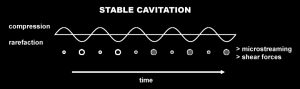 stable-cavitation