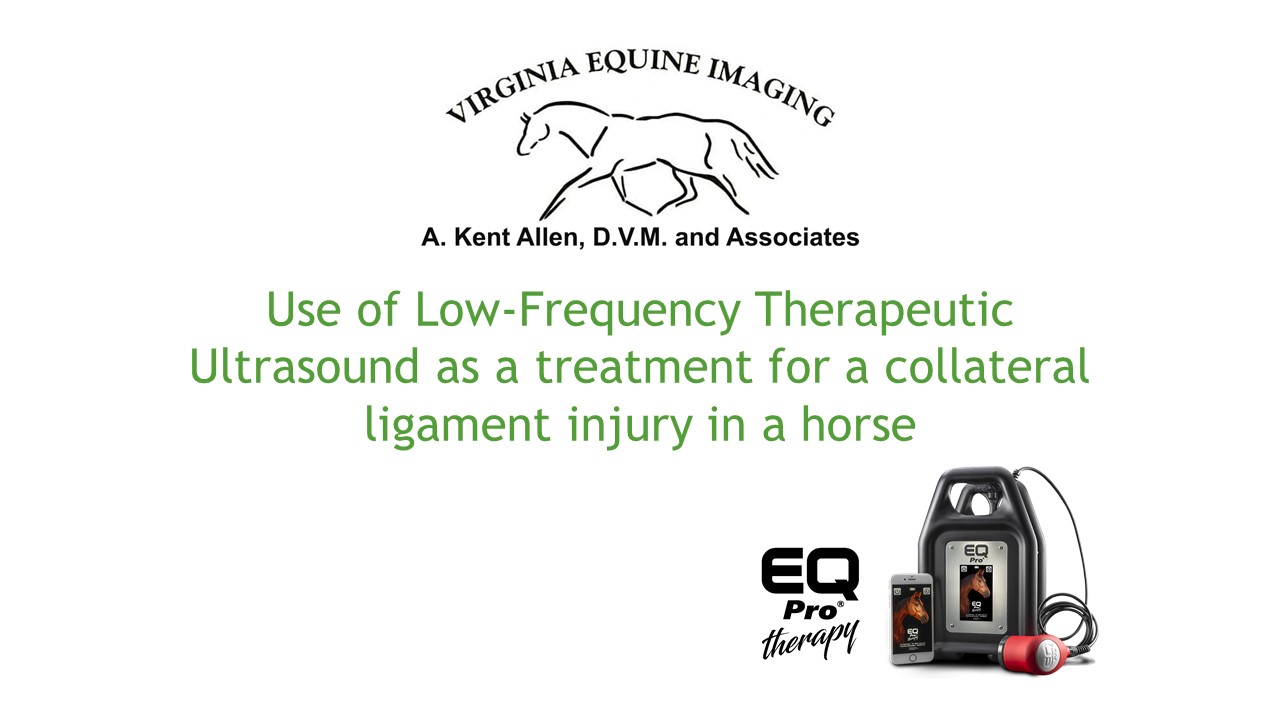 Use of Low-Frequency Therapeutic Ultrasound as a treatment for a collateral ligament injury in a horse