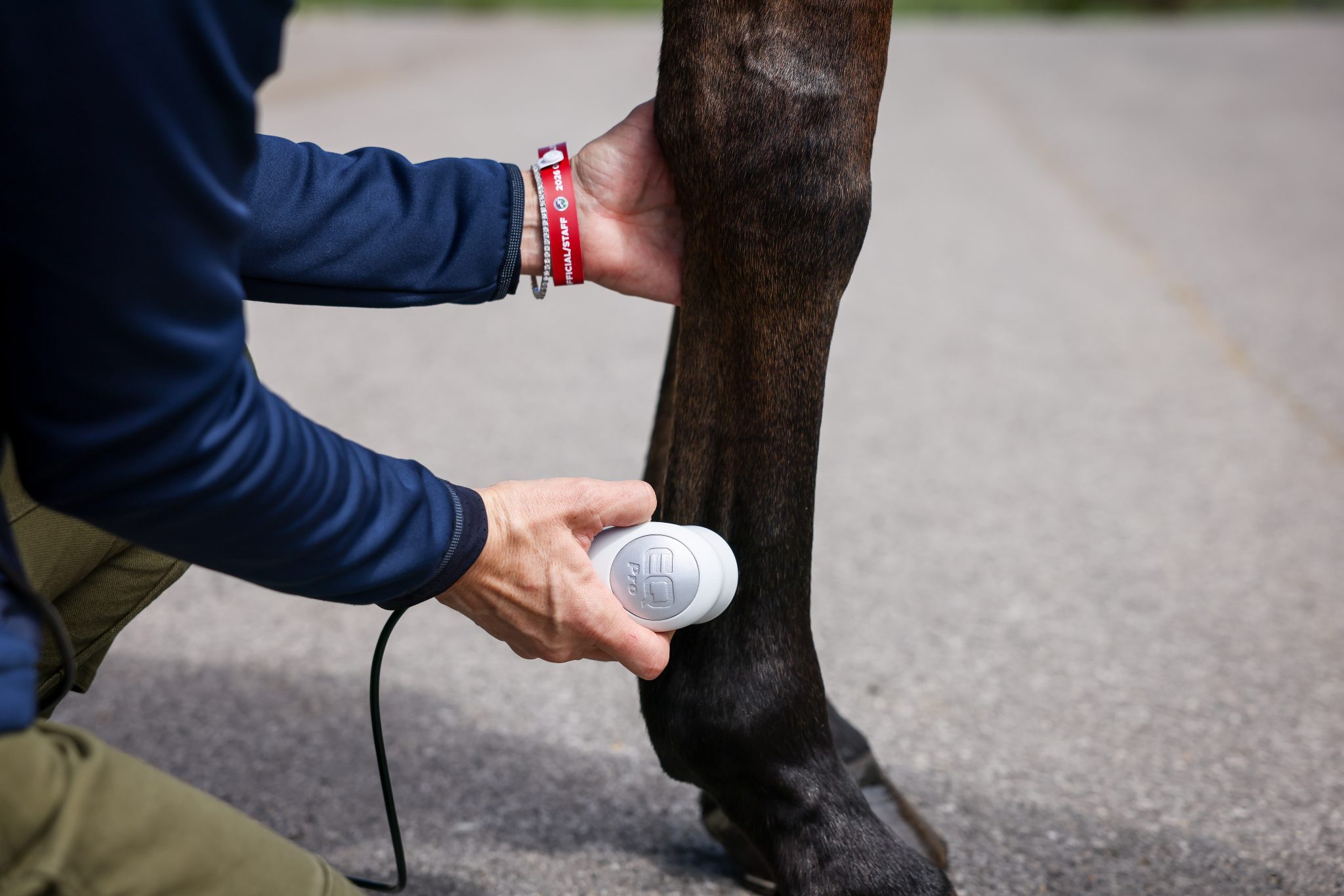 susan johns dvm - defender us eventing team
