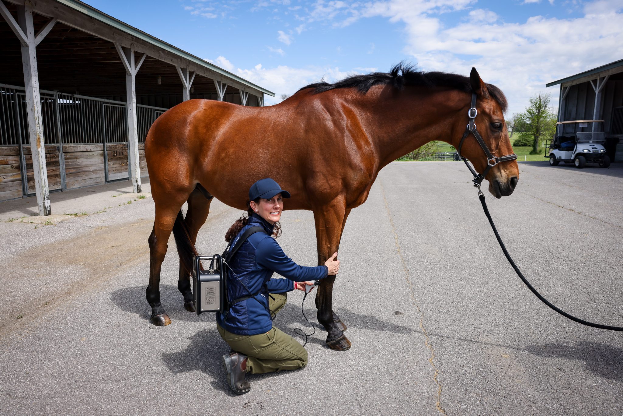 susan johns dvm - us eventing team 1
