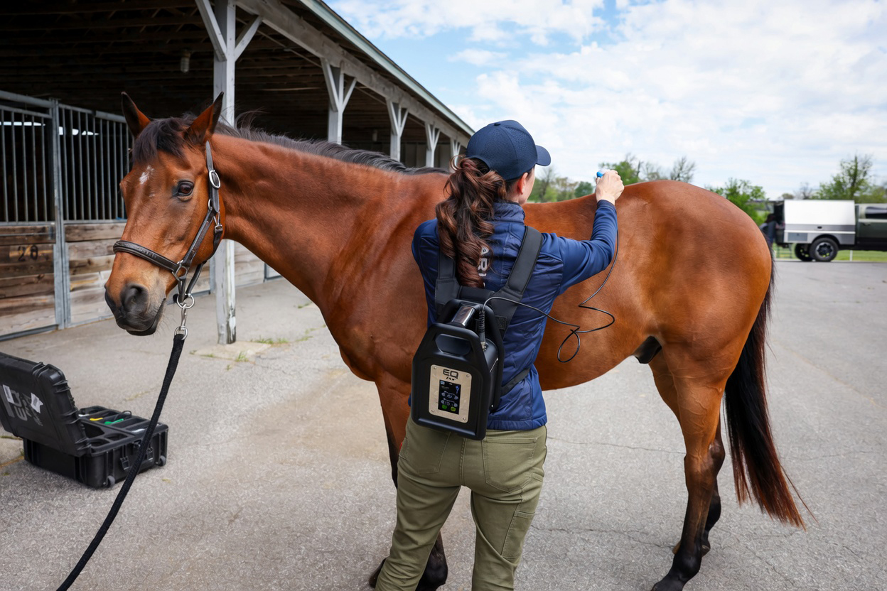 susan johns dvm - us eventing team 2