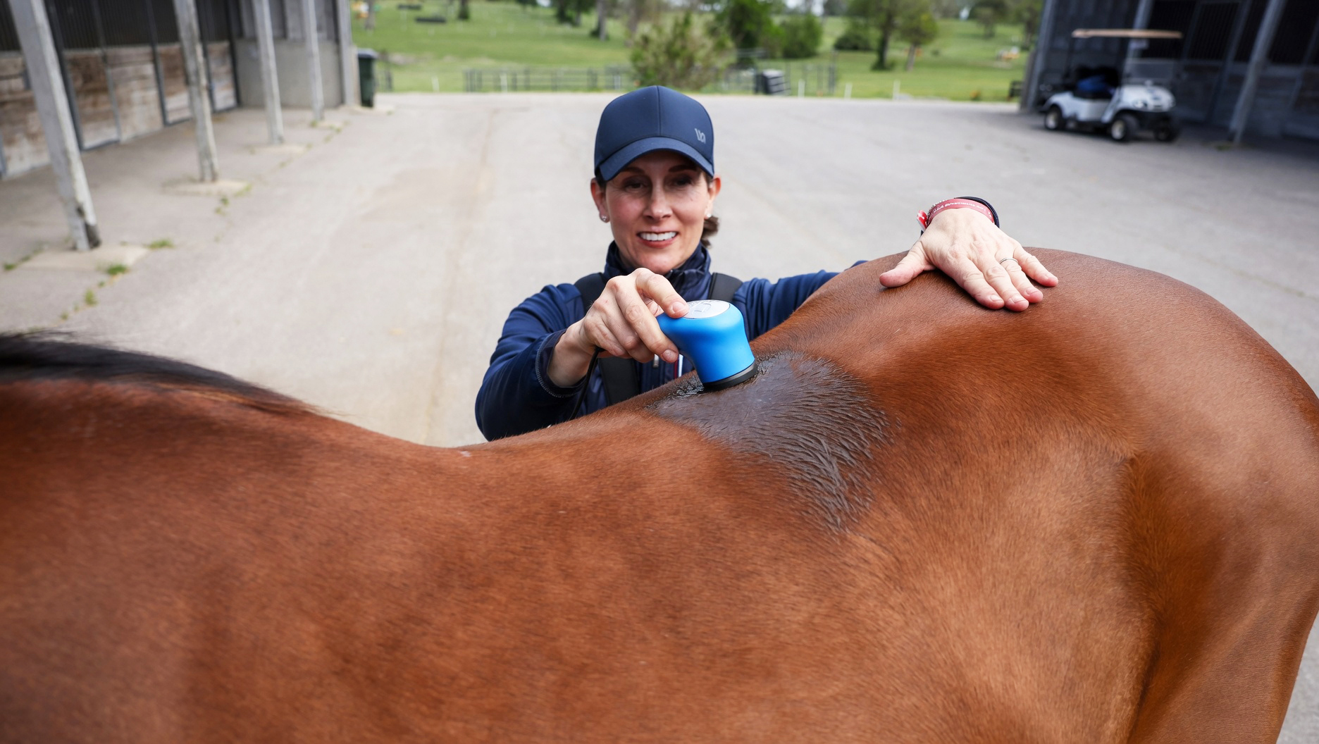 susan johns dvm - usa eventing team