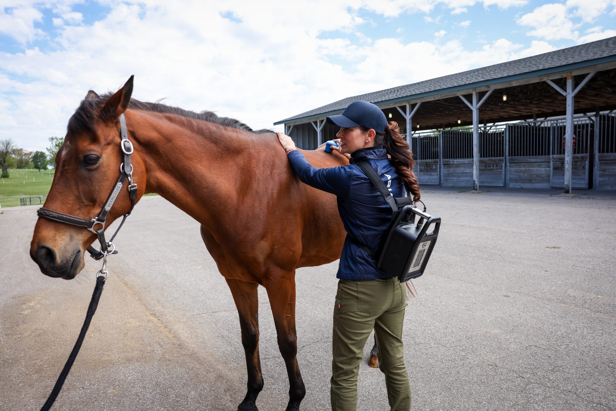 susan johns dvm - usef eventing team